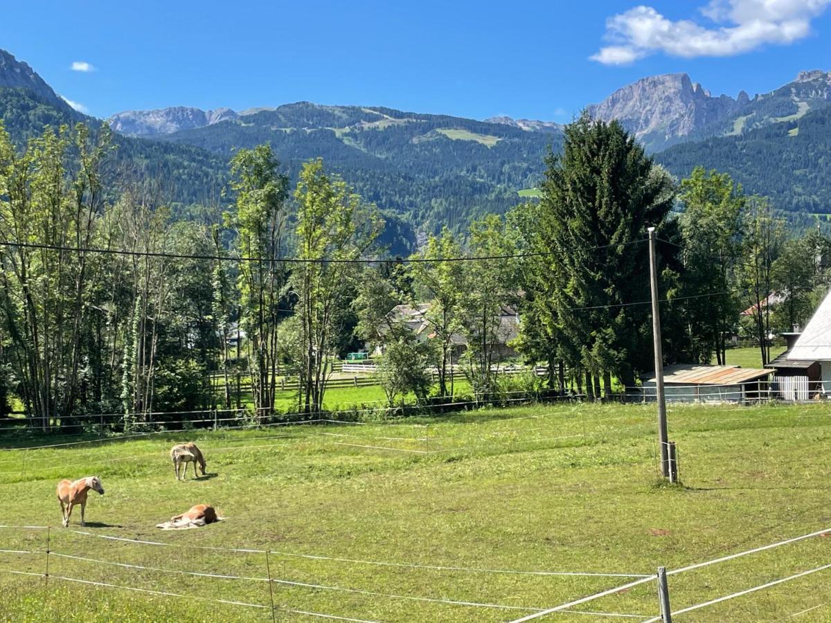 Appartamento Loft Kammleitn Hermagor-Pressegger See Esterno foto